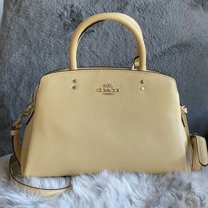 Coach Mini Lillie Carryall bag / purse /crossbody NEW